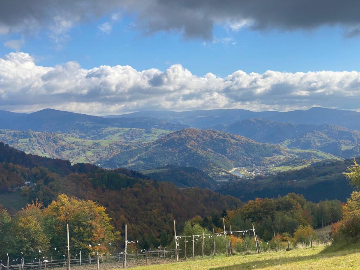 Na Lazach Apartment Piwniczna-Zdroj